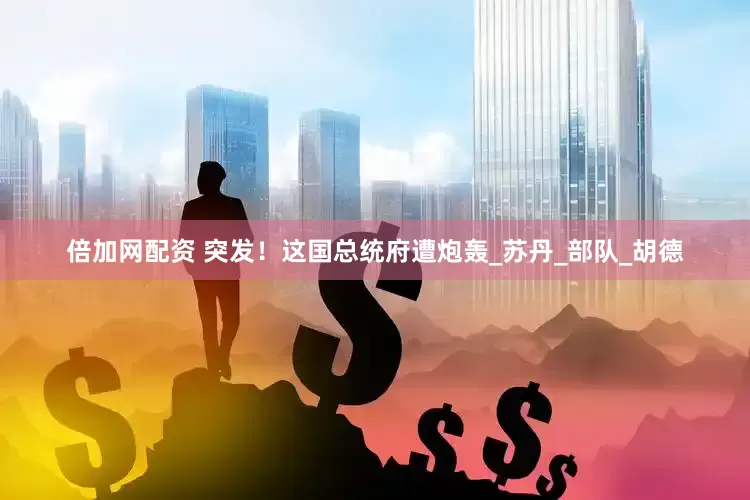 倍加网配资 突发！这国总统府遭炮轰_苏丹_部队_胡德