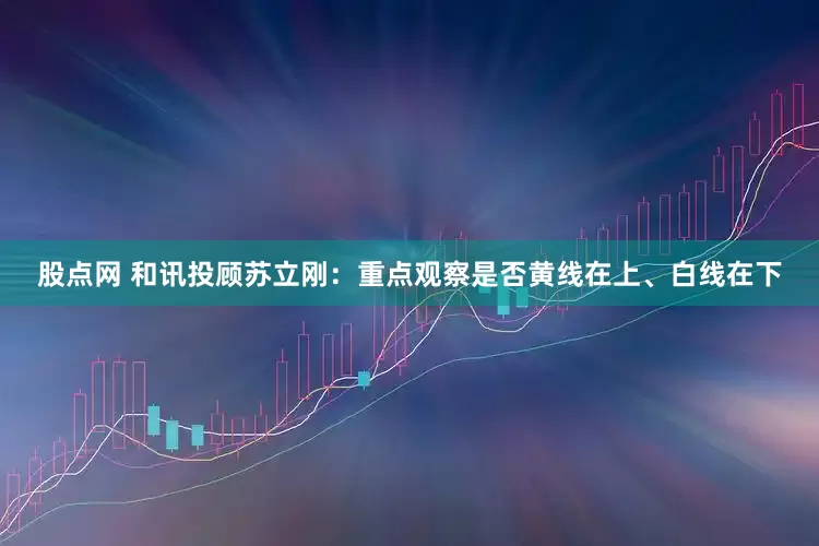 股点网 和讯投顾苏立刚：重点观察是否黄线在上、白线在下