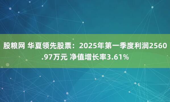 股粮网 华夏领先股票：2025年第一季度利润2560.97万元 净值增长率3.61%