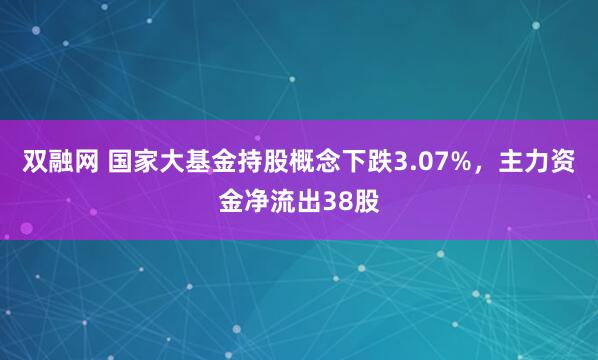 双融网 国家大基金持股概念下跌3.07%，主力资金净流出38股